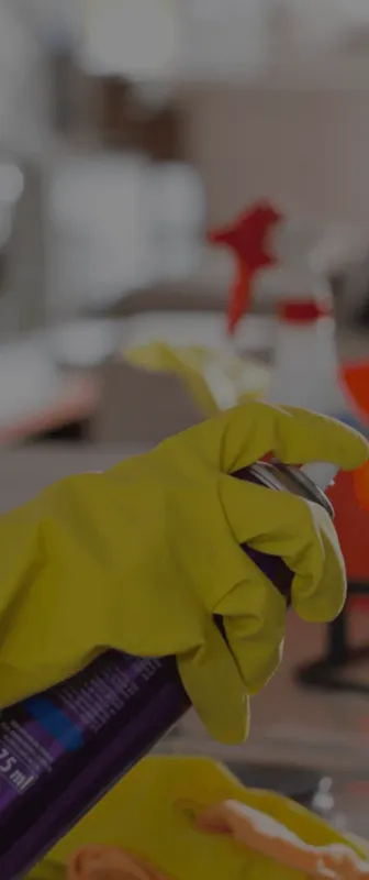 Reliable Residential & Commercial Cleaning in Green Bay, WI